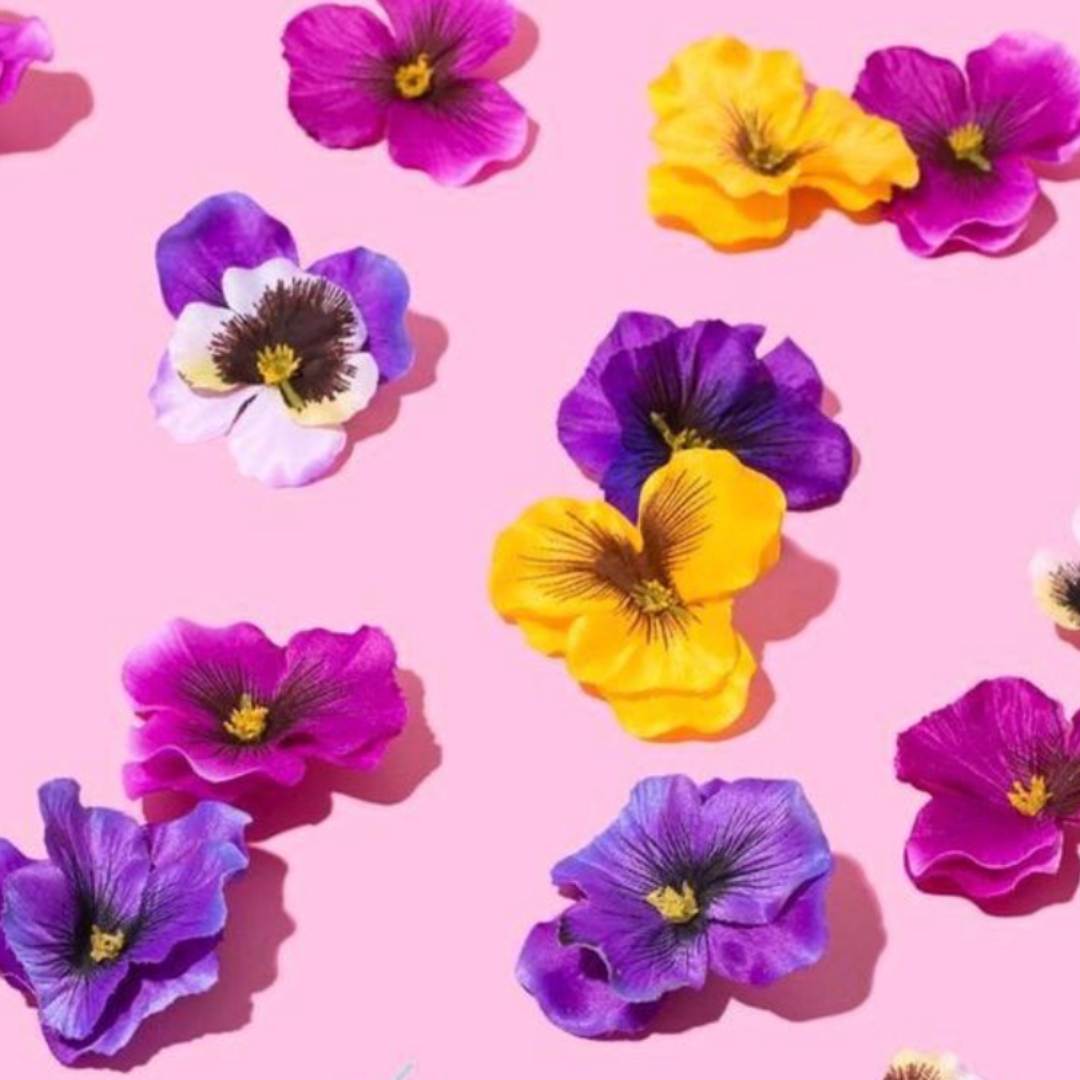 Domo de Flores Comestibles |  MIX