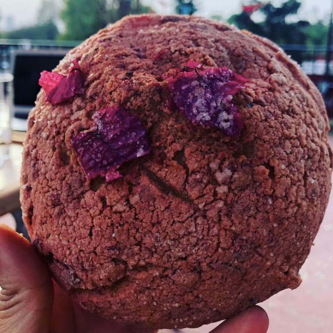 Conchas de Bugambilia | Masa Madre