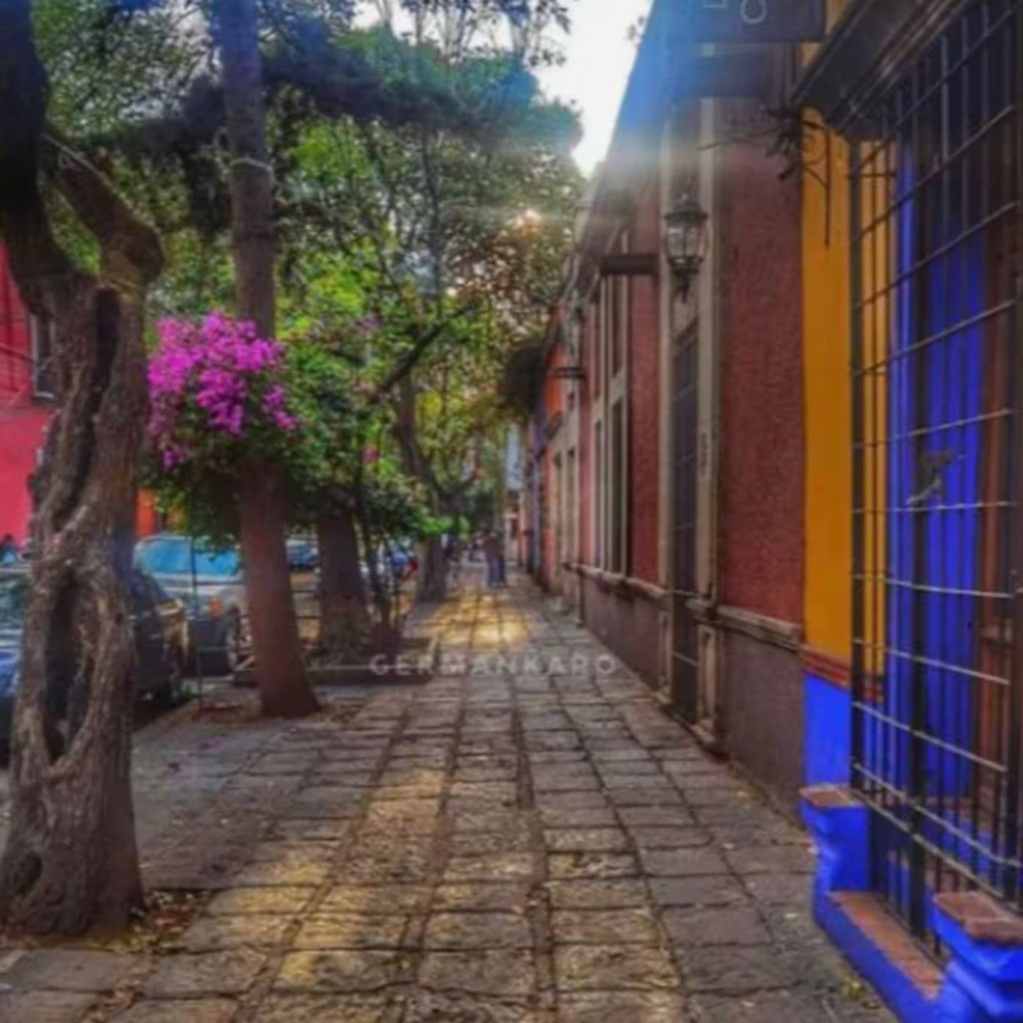 Celebra con una mesa hermosa en Centro de Coyoacán