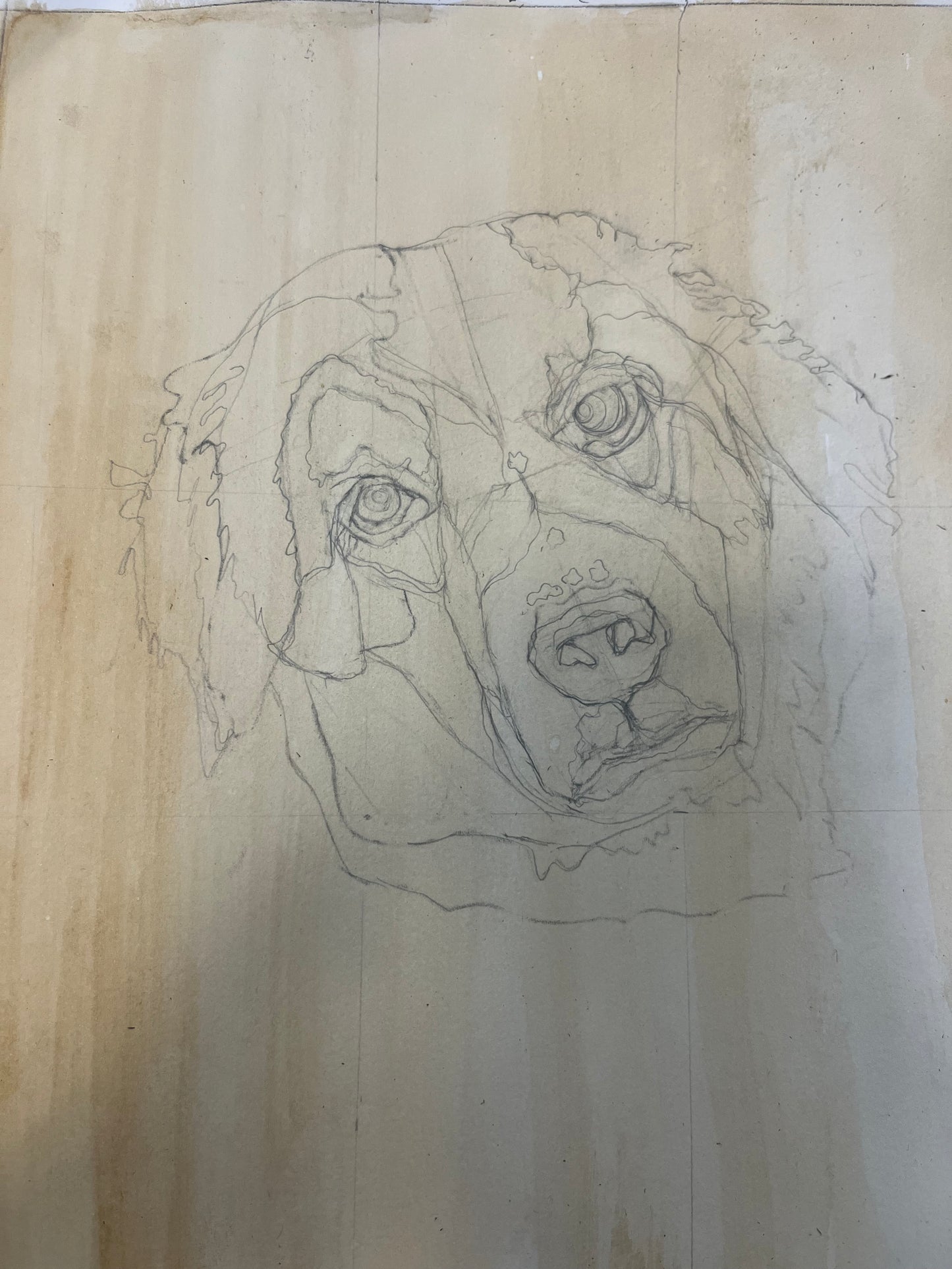 Retrato de tu perro con flores